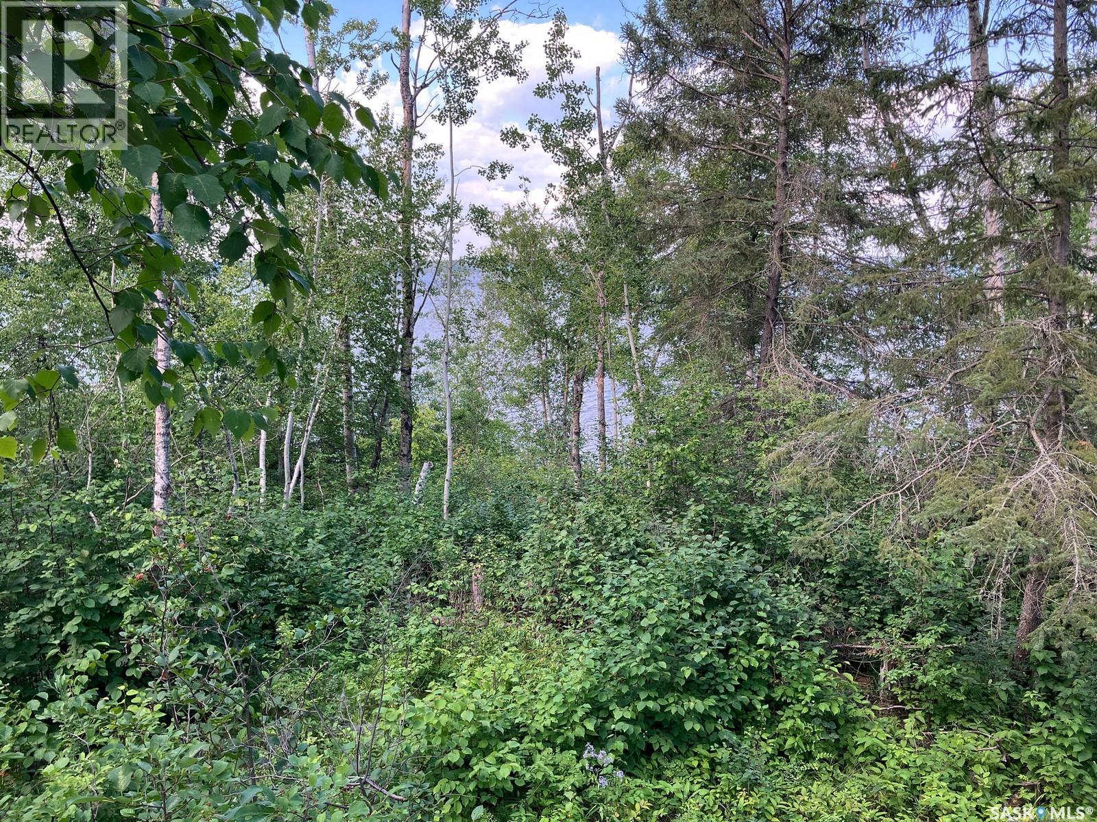 1 Birch Place, Nipawin Rm No. 487, Saskatchewan  S0E 1E0 - Photo 8 - SK013607