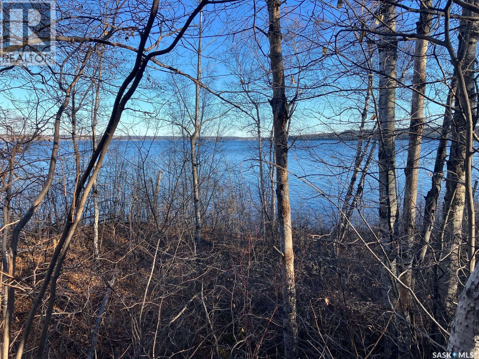 1 Birch Place, Nipawin Rm No. 487, Saskatchewan  S0E 1E0 - Photo 42 - SK013607