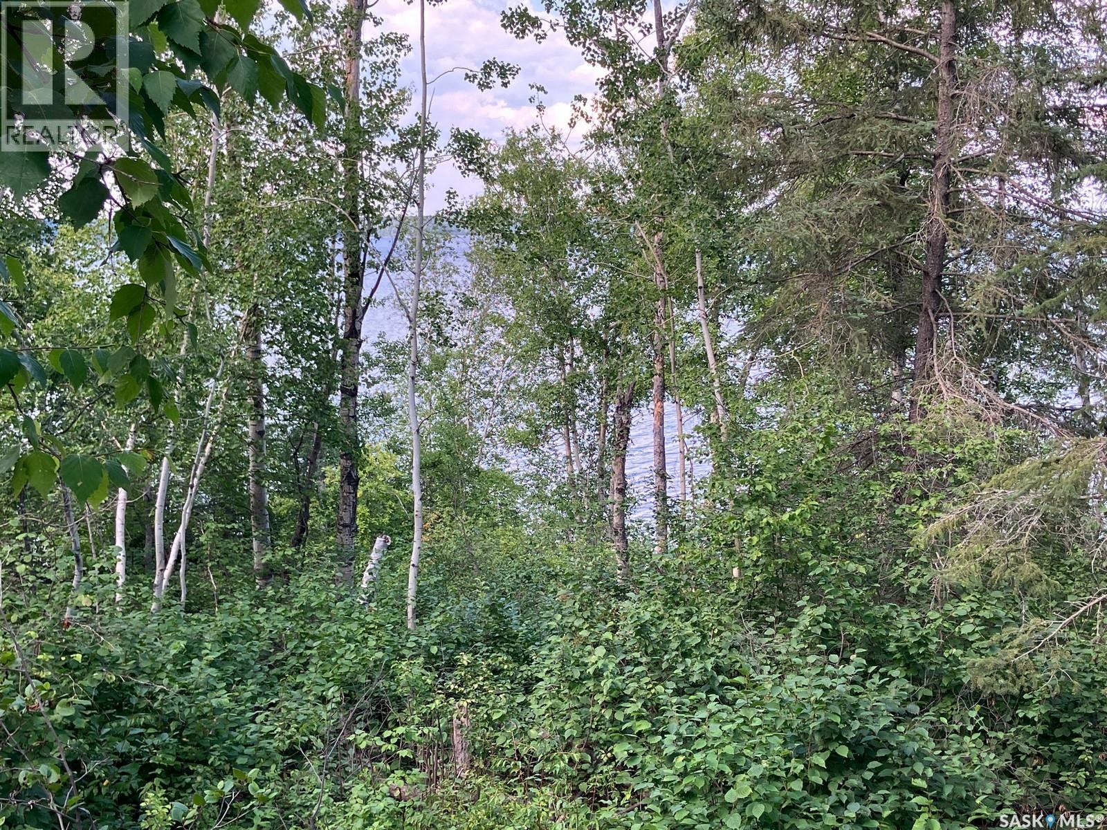 1 Birch Place, Nipawin Rm No. 487, Saskatchewan  S0E 1E0 - Photo 35 - SK013607