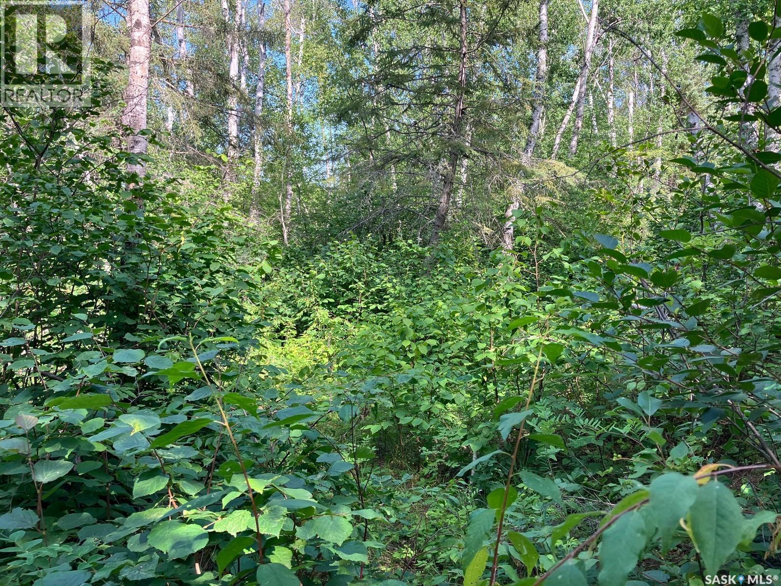 1 Birch Place, Nipawin Rm No. 487, Saskatchewan  S0E 1E0 - Photo 38 - SK013607