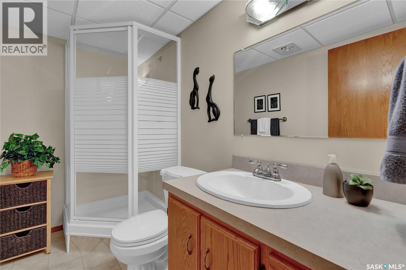 3207 Phaneuf Crescent E, Regina, Saskatchewan  S4V 1V2 - Photo 32 - SK021076