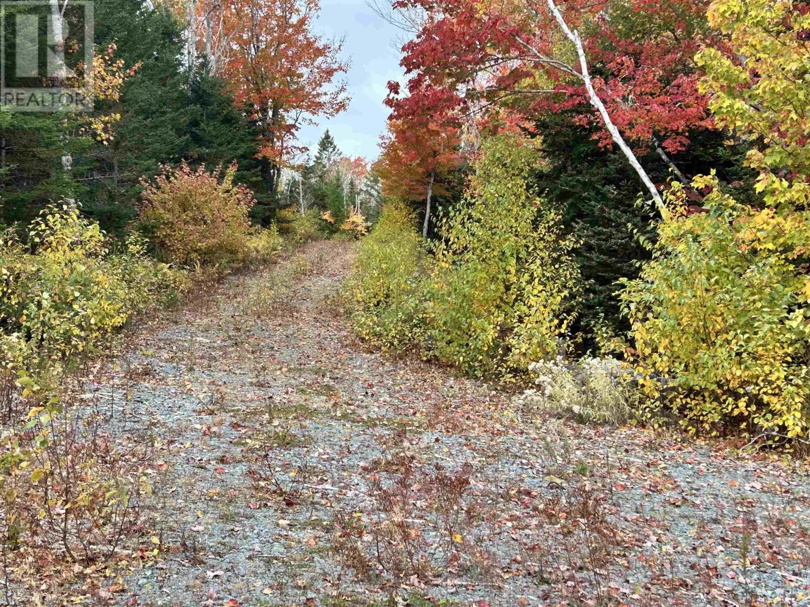 Lot 58 Riverside Drive, Goldenville, Nova Scotia  B0J 3S0 - Photo 10 - 202526073