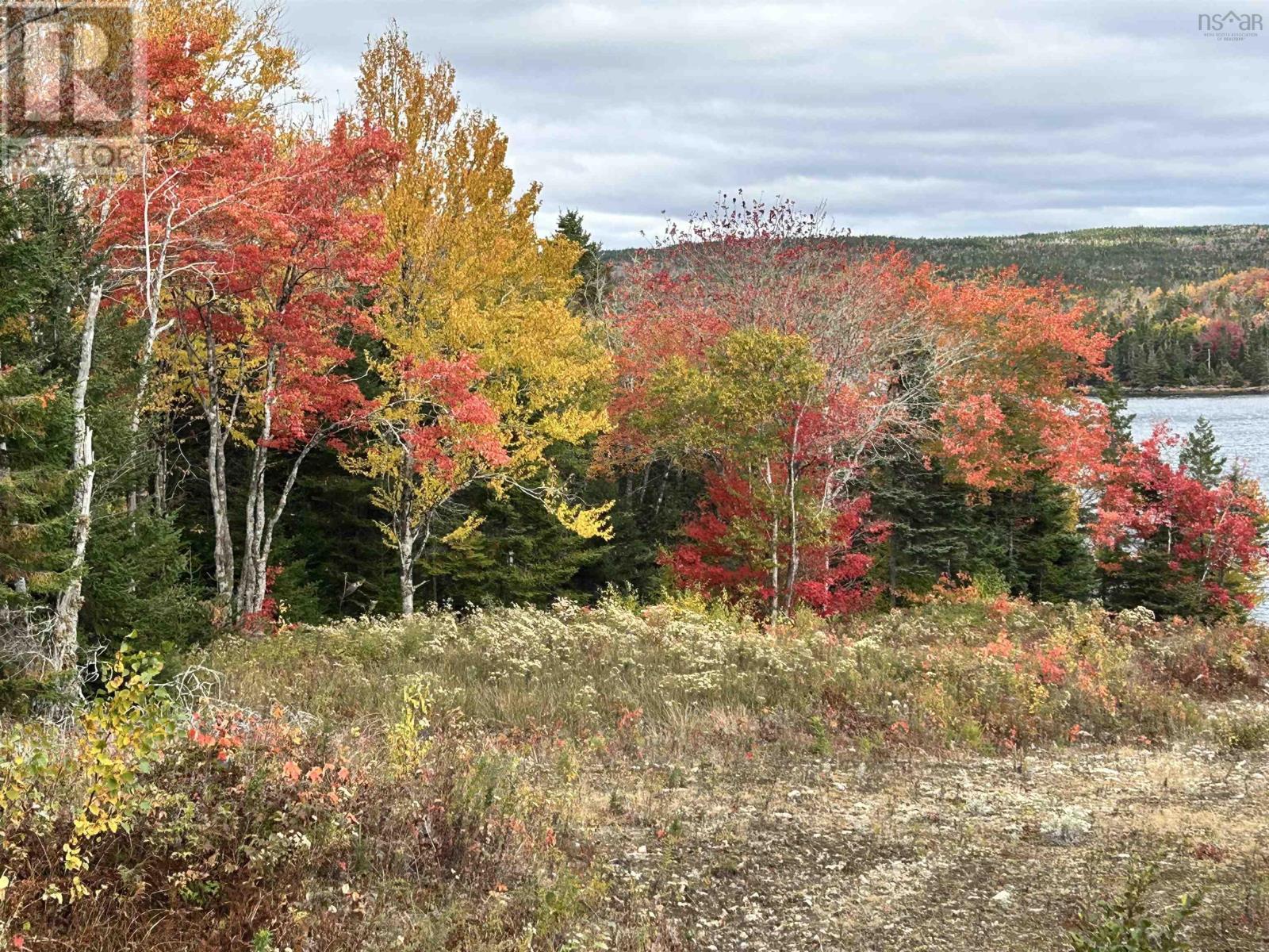 Lot 58 Riverside Drive, Goldenville, Nova Scotia  B0J 3S0 - Photo 4 - 202526073