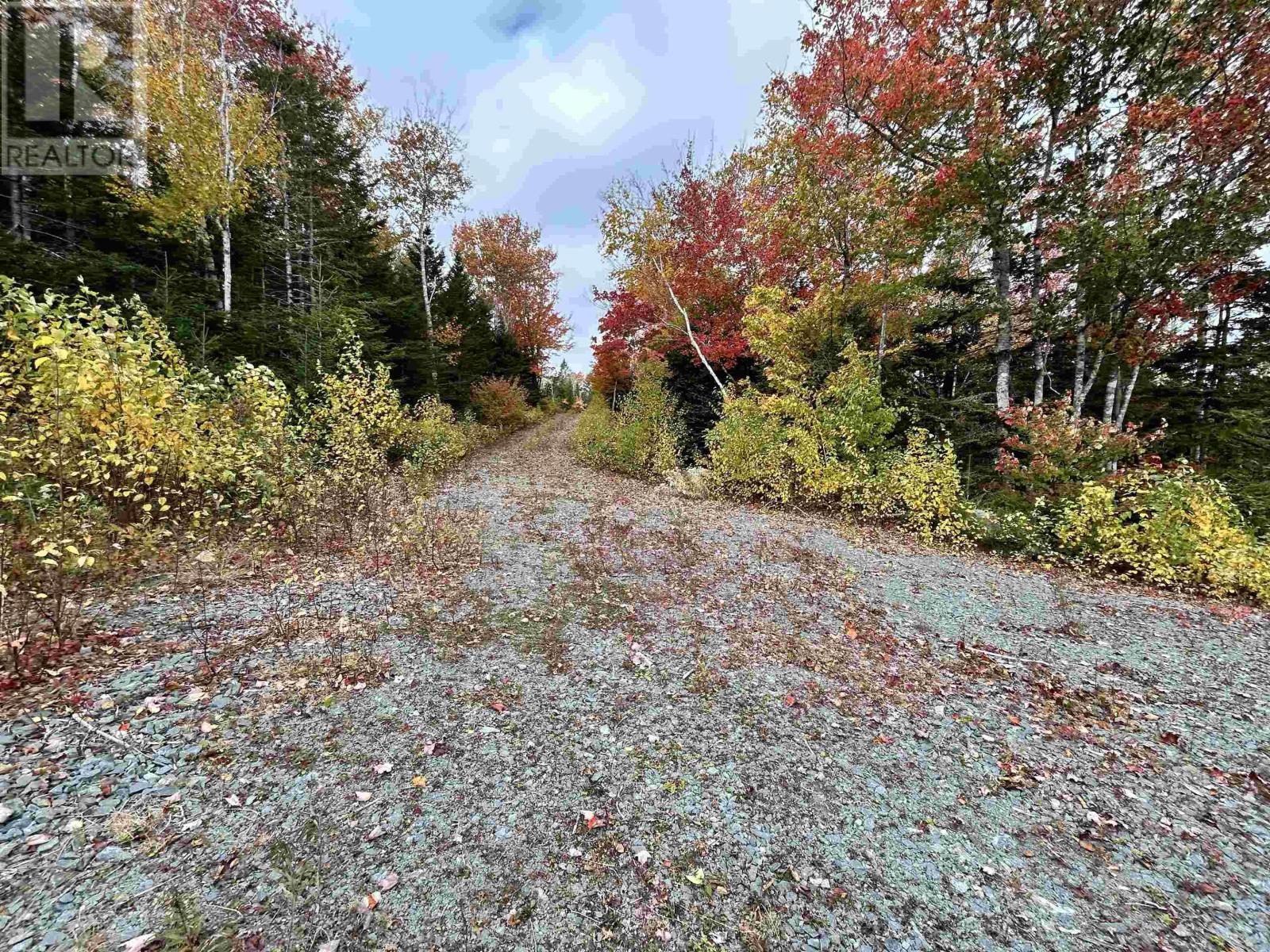 Lot 58 Riverside Drive, Goldenville, Nova Scotia  B0J 3S0 - Photo 9 - 202526073