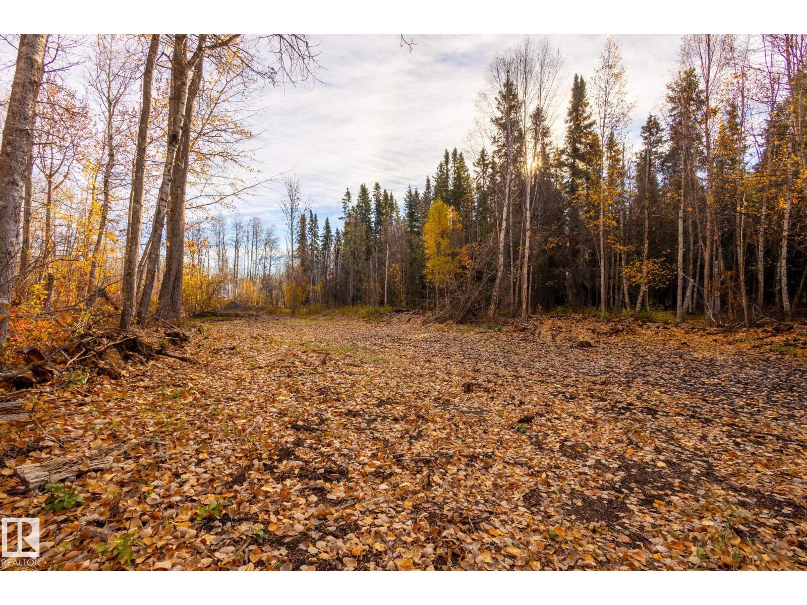 #14 3224 Twp Road 552, Rural Lac Ste. Anne County, Alberta  T0E 1A0 - Photo 8 - E4462484
