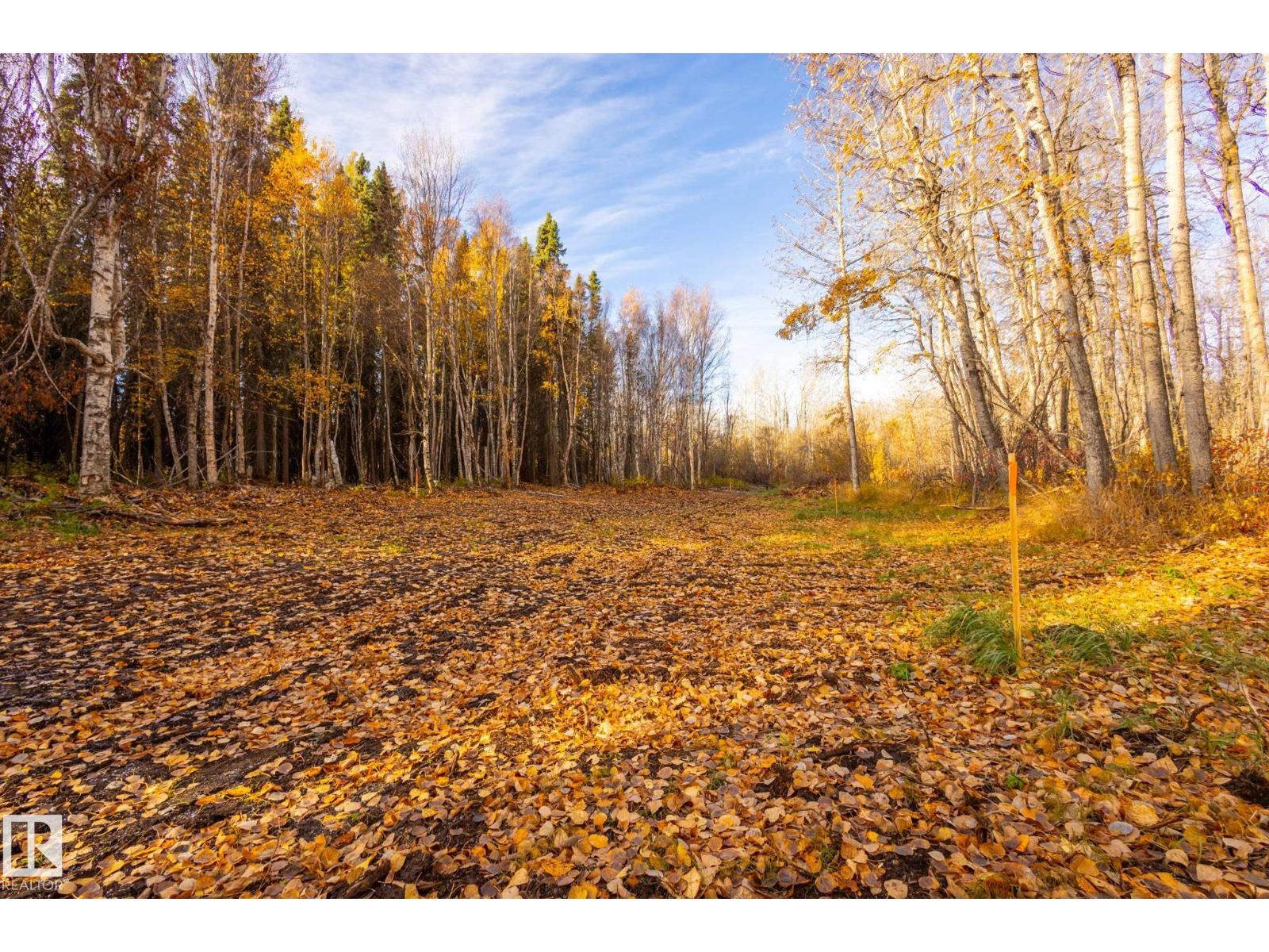 #14 3224 Twp Road 552, Rural Lac Ste. Anne County, Alberta  T0E 1A0 - Photo 9 - E4462484