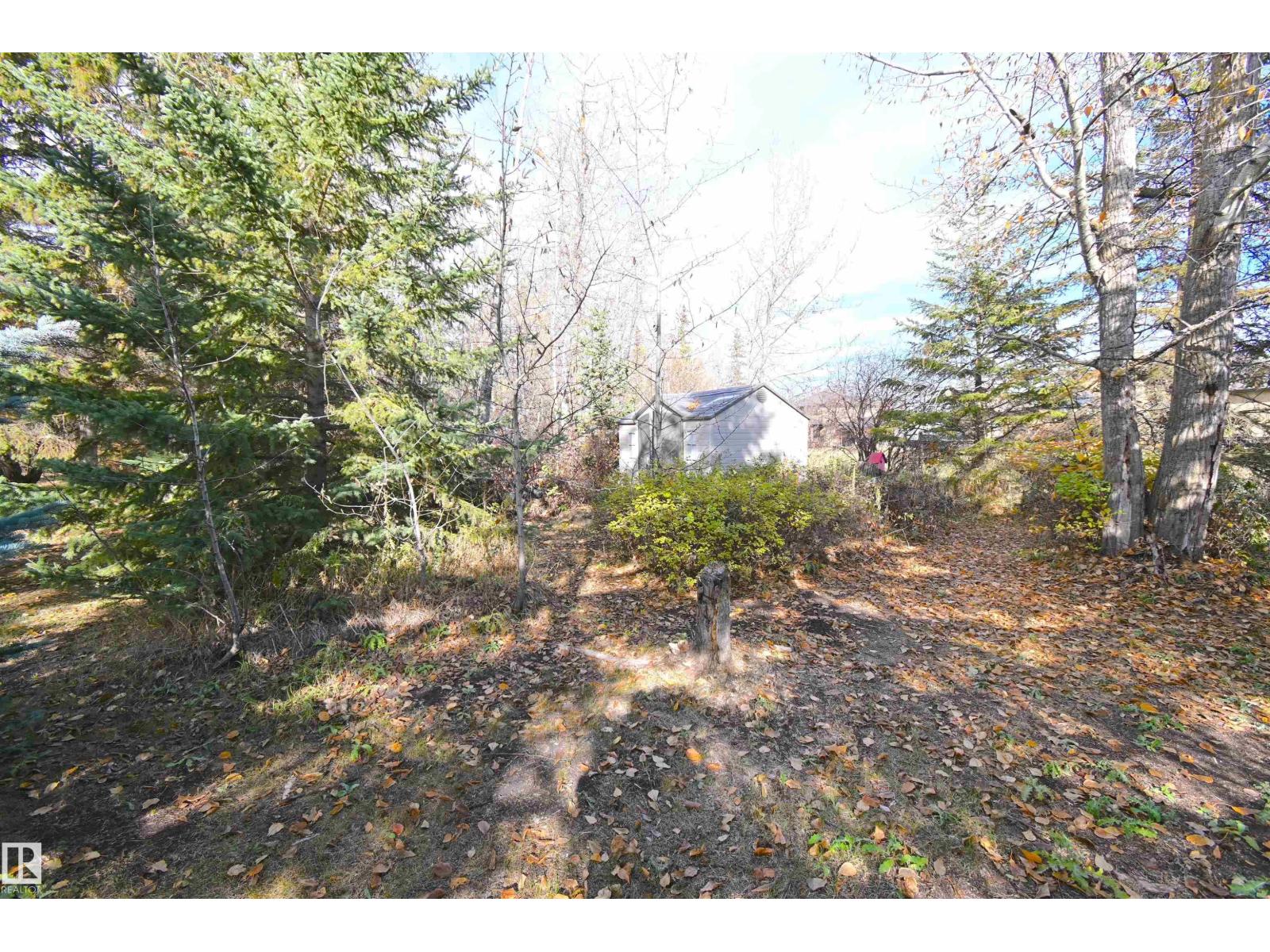 #86 53305 Rge Road 273, Rural Parkland County, Alberta  T7X 3N4 - Photo 55 - E4462481