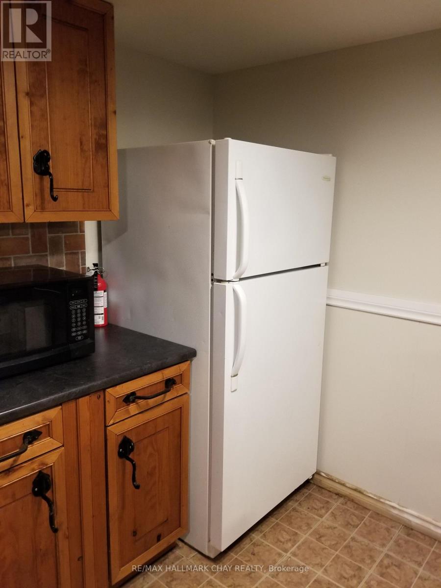 Lower Unit - 11b Park Crescent, New Tecumseth, Ontario  L0G 1W0 - Photo 3 - N12468163