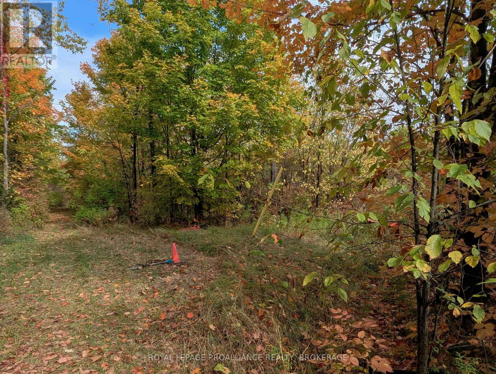 Lot 34 Leo Lake Road, Kingston, Ontario  K0H 2N0 - Photo 13 - X12464159