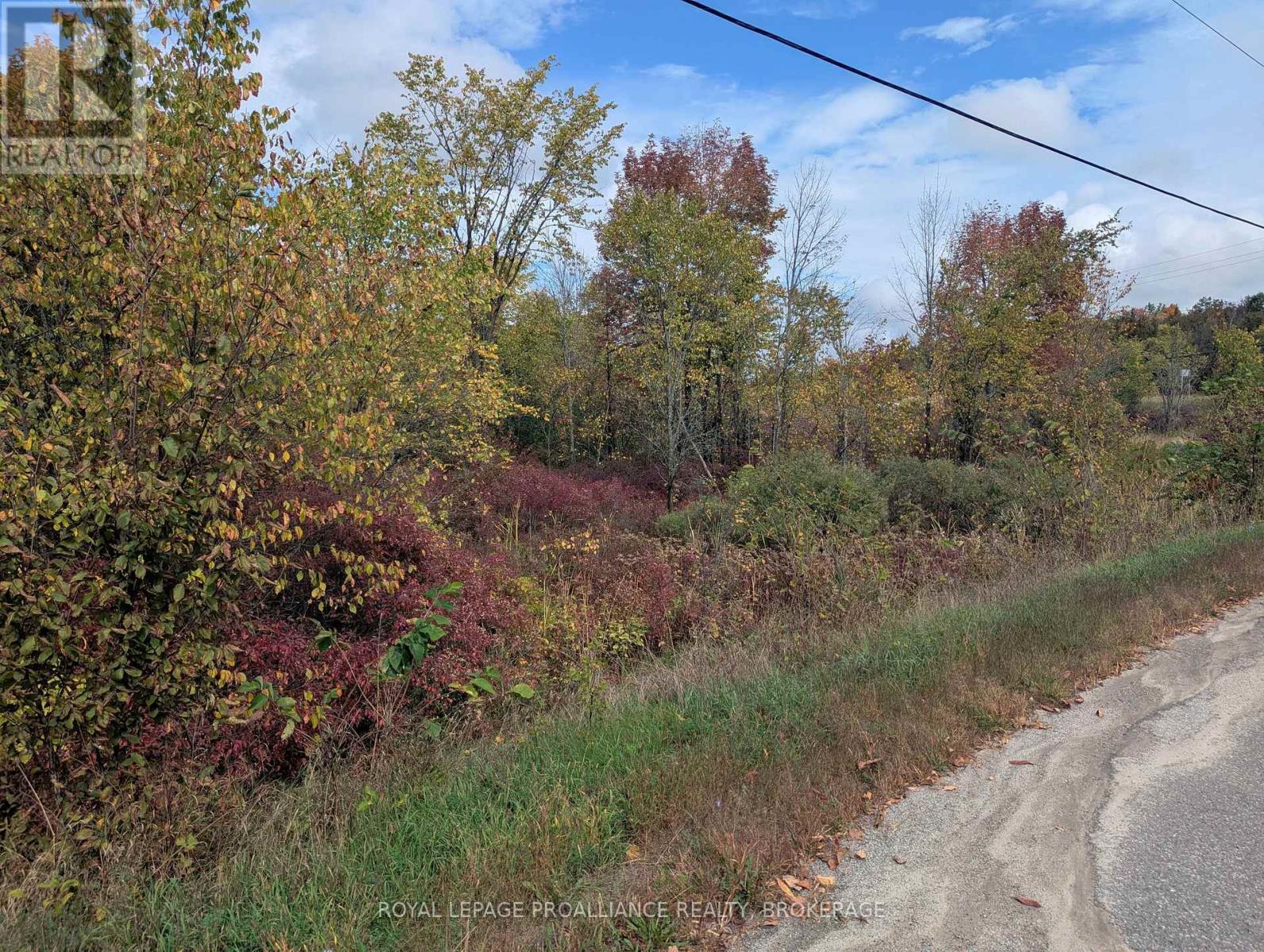 Lot 34 Leo Lake Road, Kingston, Ontario  K0H 2N0 - Photo 18 - X12464159