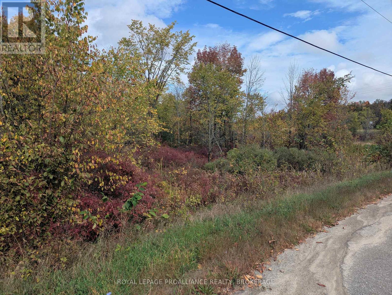 Lot 34 Leo Lake Road, Kingston, Ontario  K0H 2N0 - Photo 17 - X12464159