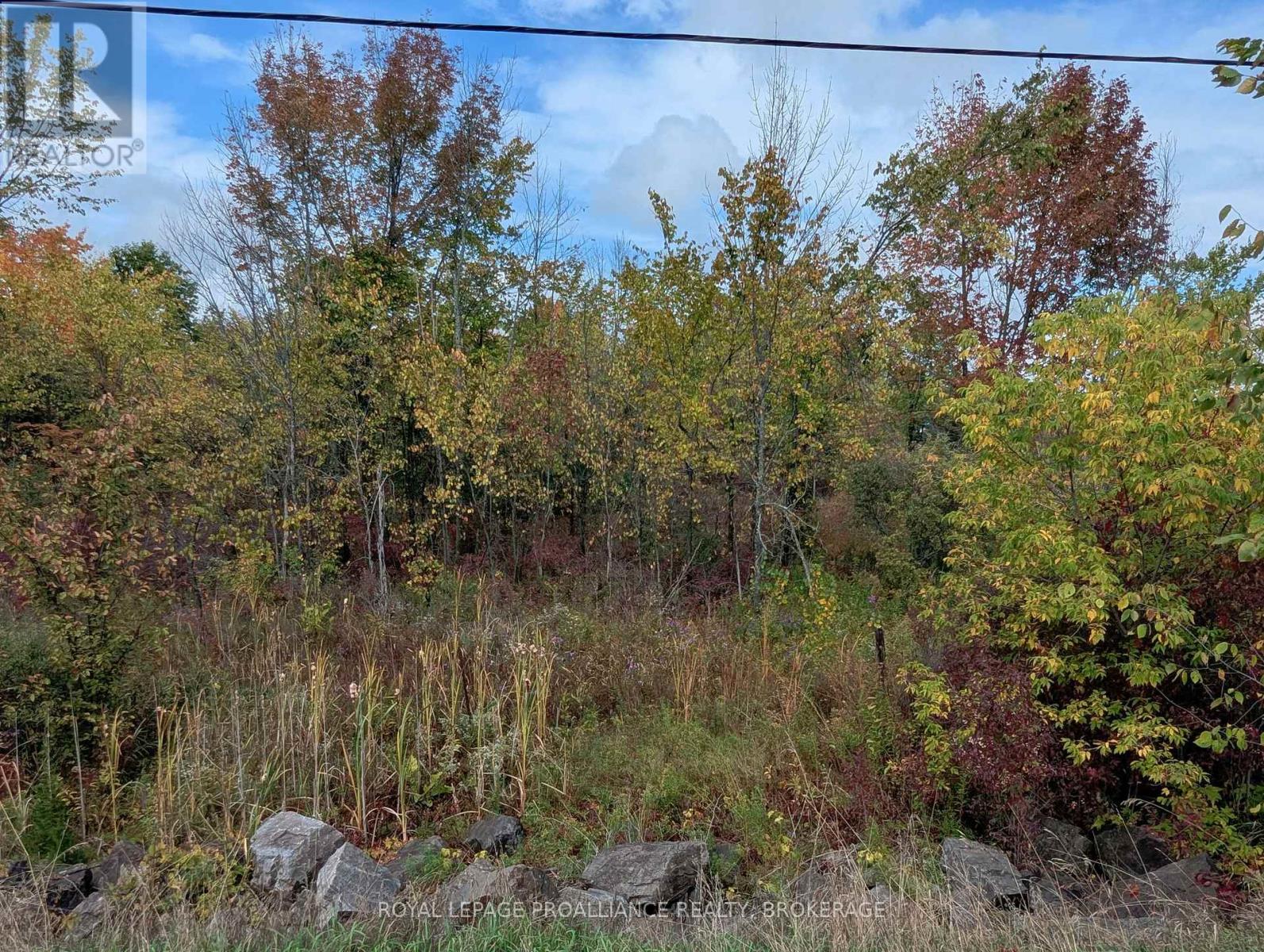 Lot 34 Leo Lake Road, Kingston, Ontario  K0H 2N0 - Photo 11 - X12464159