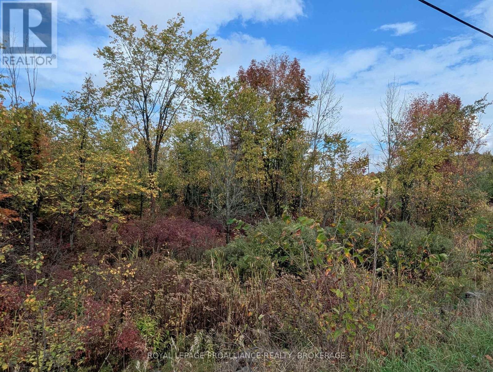 Lot 34 Leo Lake Road, Kingston, Ontario  K0H 2N0 - Photo 12 - X12464159