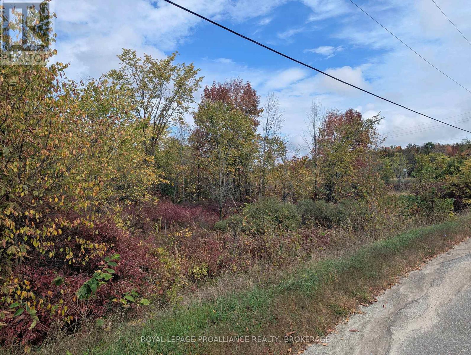 Lot 34 Leo Lake Road, Kingston, Ontario  K0H 2N0 - Photo 21 - X12464159