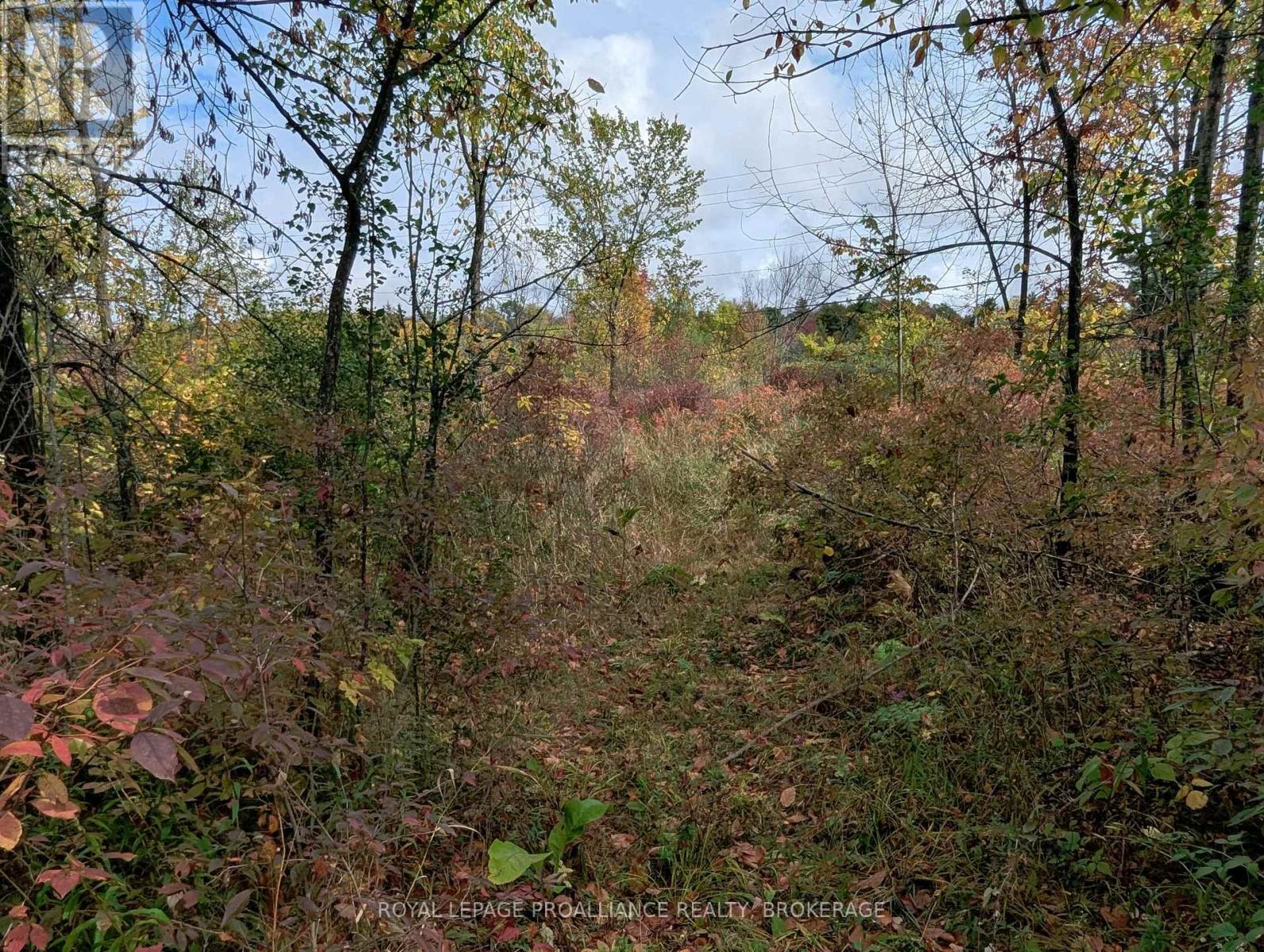 Lot 34 Leo Lake Road, Kingston, Ontario  K0H 2N0 - Photo 15 - X12464159