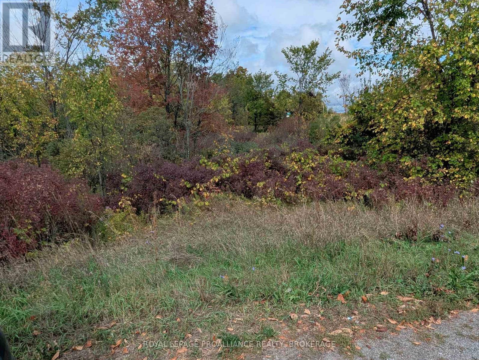 Lot 34 Leo Lake Road, Kingston, Ontario  K0H 2N0 - Photo 8 - X12464159