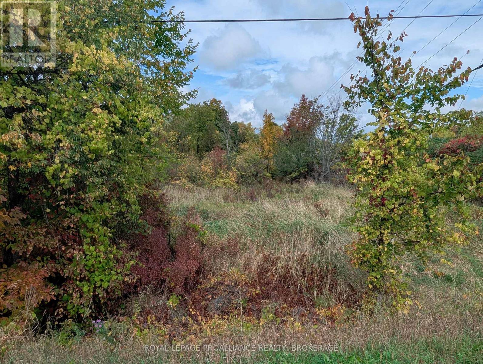 Lot 34 Leo Lake Road, Kingston, Ontario  K0H 2N0 - Photo 9 - X12464159