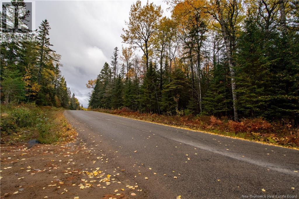Lot Plumweseep Road, Plumweseep, New Brunswick  E4G 1Y2 - Photo 11 - NB128606