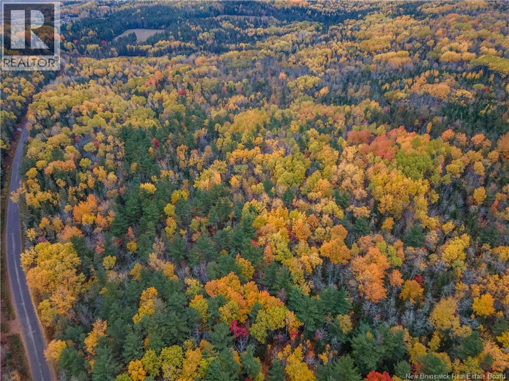 Lot Plumweseep Road, Plumweseep, New Brunswick  E4G 1Y2 - Photo 8 - NB128606
