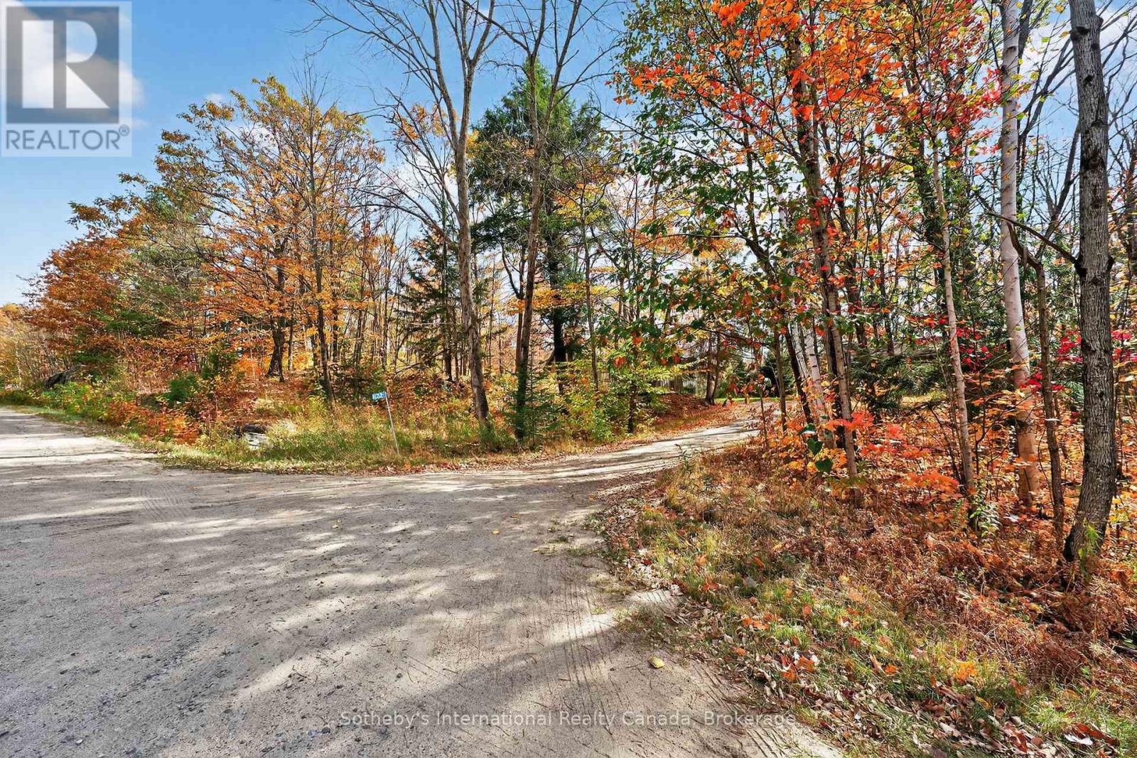 1132 Limberlost Road, Lake Of Bays (Sinclair), Ontario  P1H 2J6 - Photo 12 - X12468388