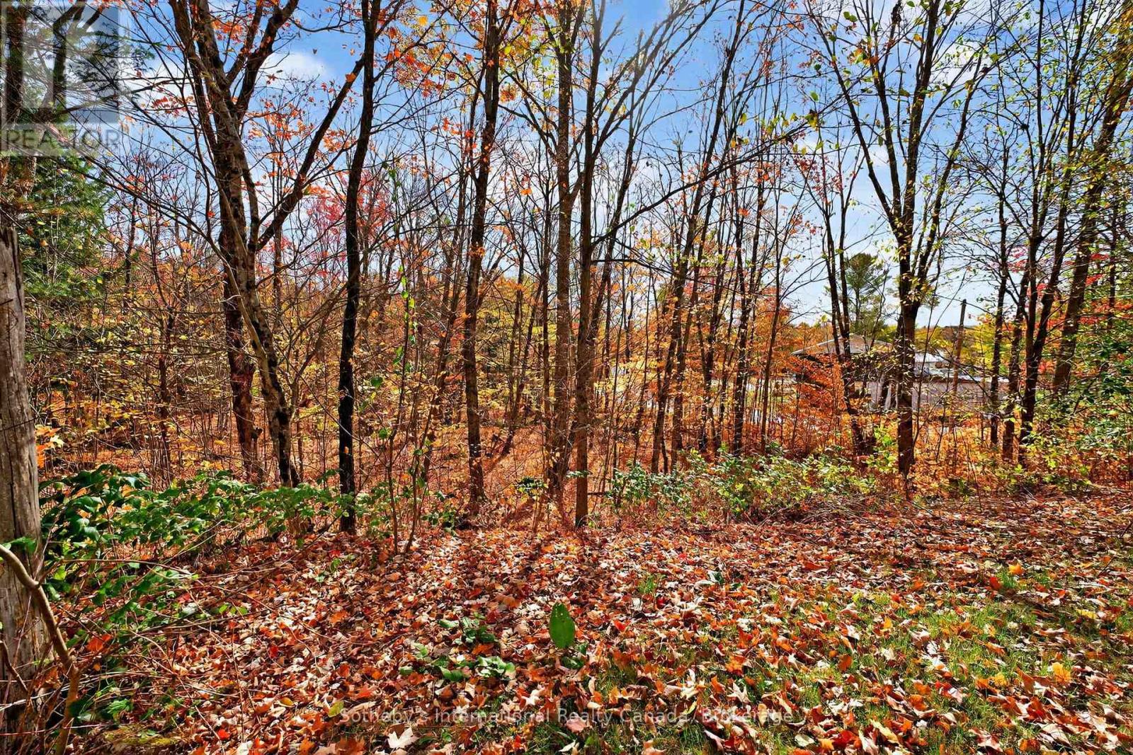 1132 Limberlost Road, Lake Of Bays (Sinclair), Ontario  P1H 2J6 - Photo 15 - X12468388