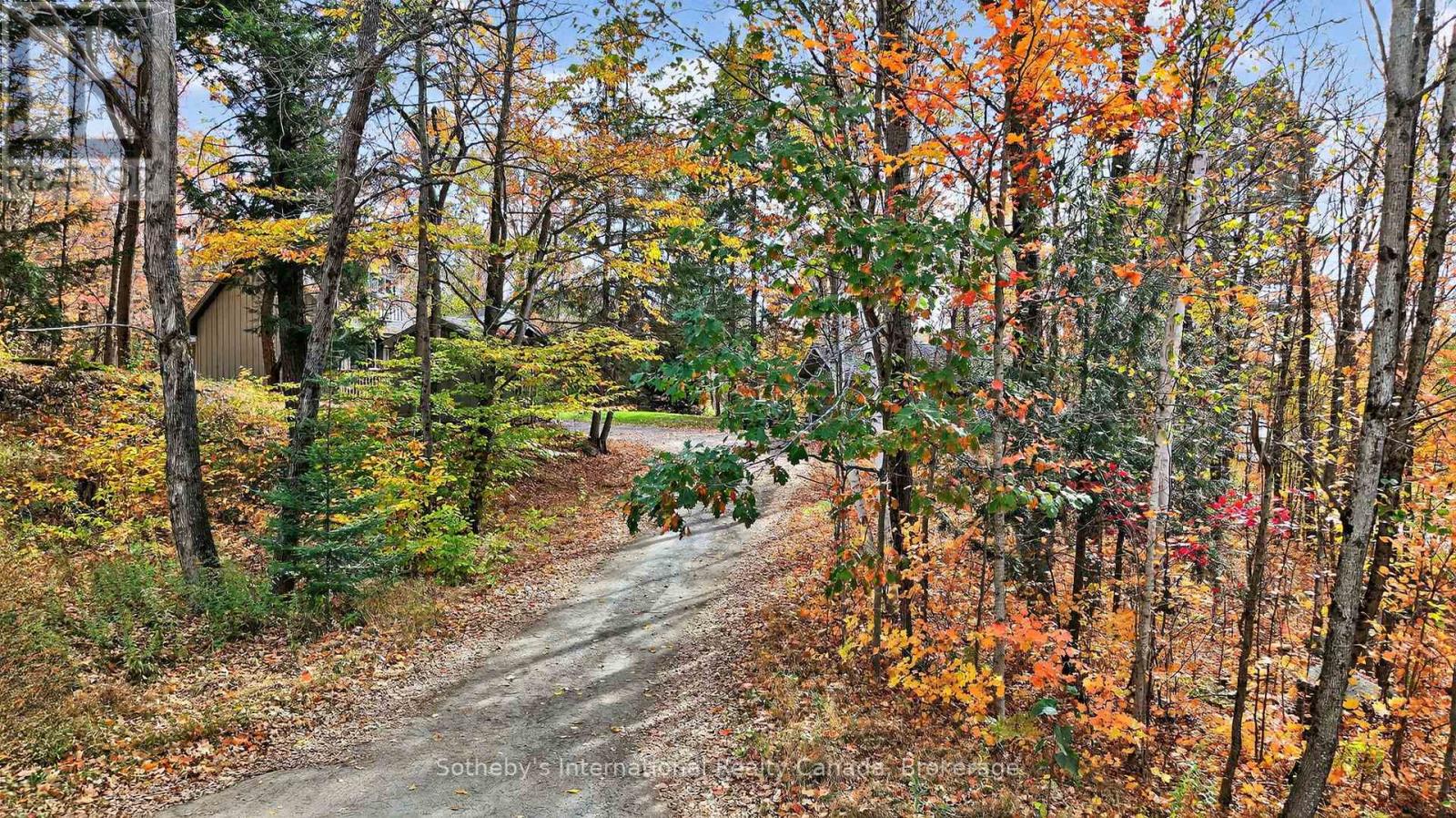 1132 Limberlost Road, Lake Of Bays (Sinclair), Ontario  P1H 2J6 - Photo 41 - X12468388