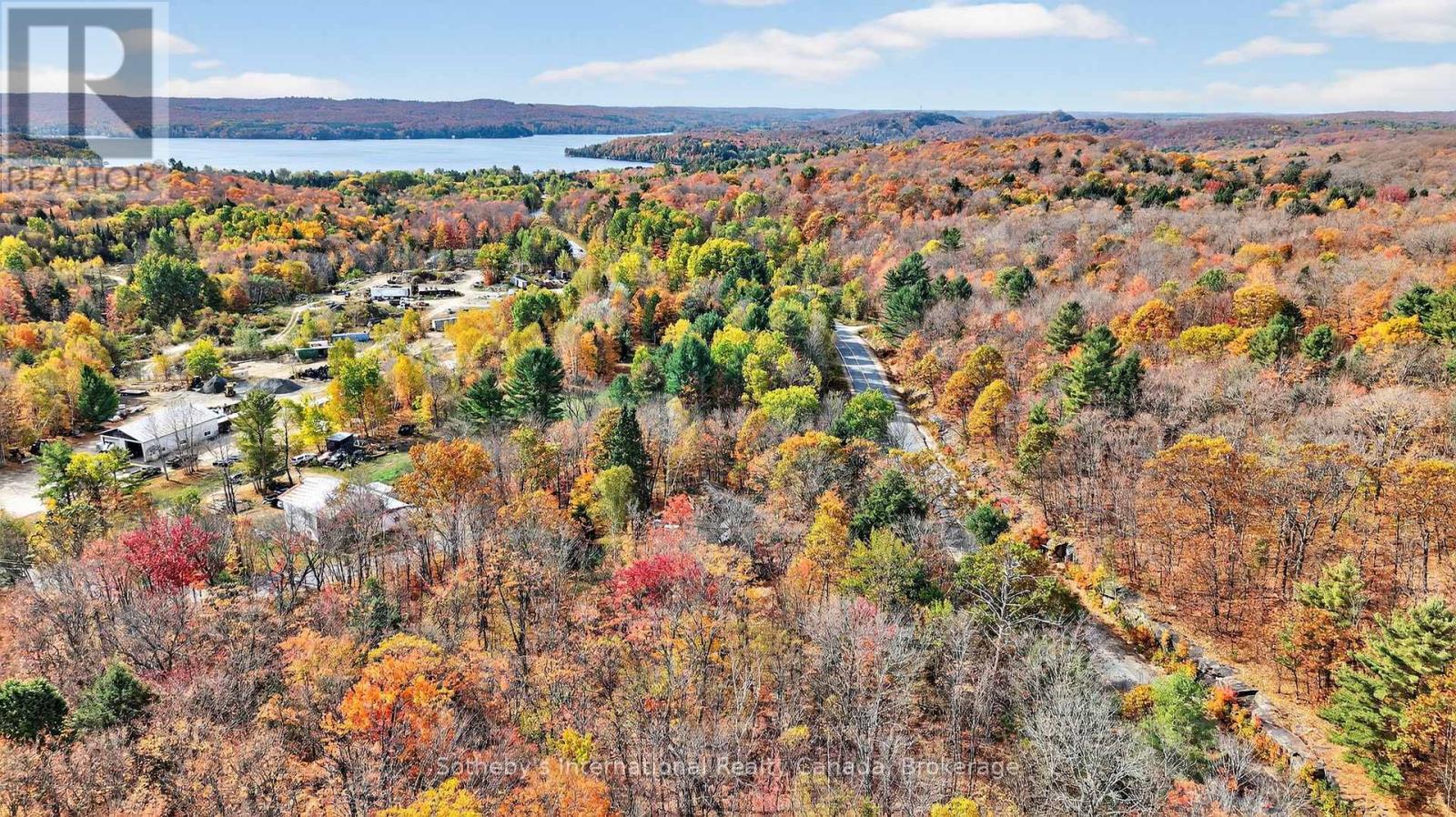 1132 Limberlost Road, Lake Of Bays (Sinclair), Ontario  P1H 2J6 - Photo 46 - X12468388