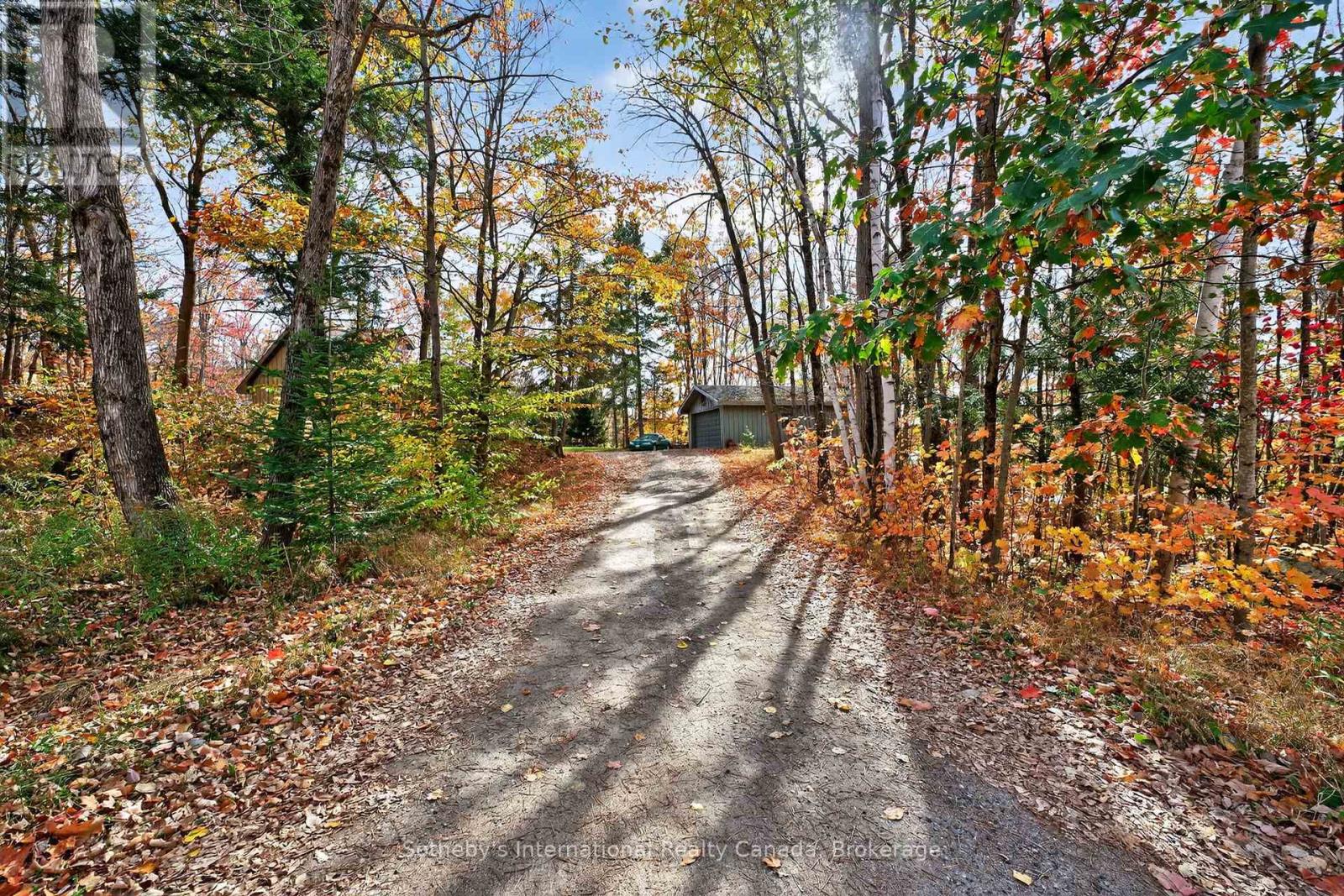 1132 Limberlost Road, Lake Of Bays (Sinclair), Ontario  P1H 2J6 - Photo 6 - X12468388
