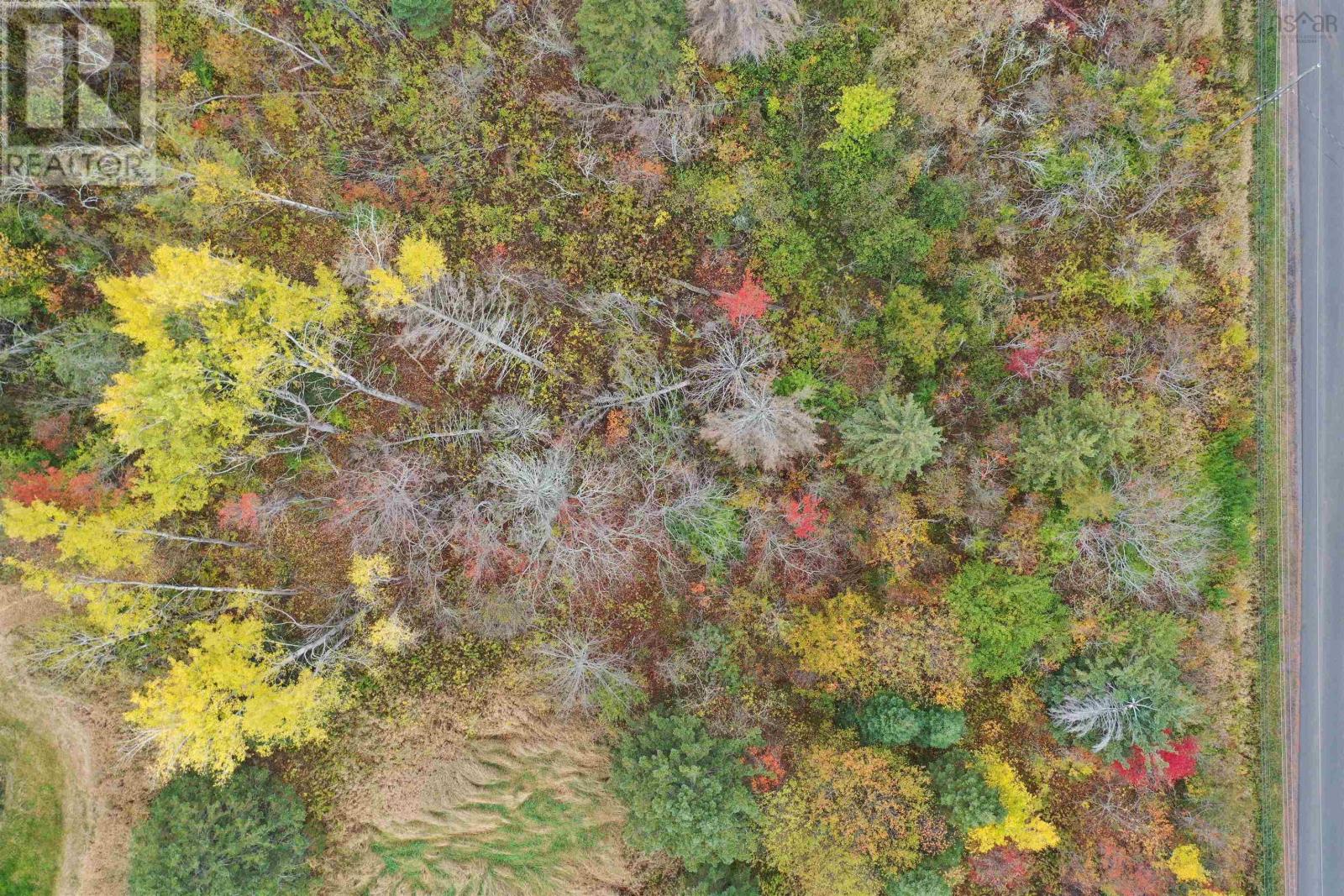 Lot S3 4 Highway, Greenhill, Nova Scotia  B0K 2A0 - Photo 6 - 202526047