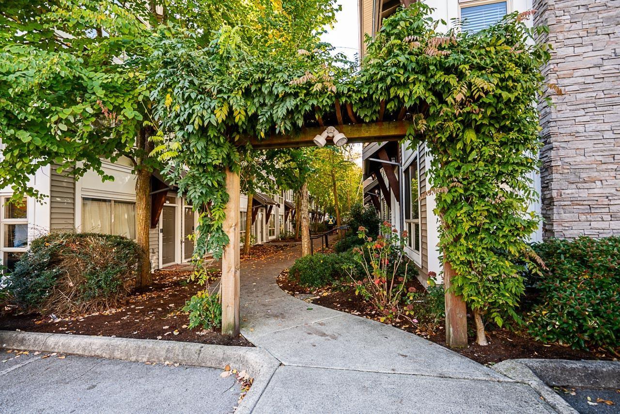 115 6671 121 Street, Surrey, British Columbia V3W 1T9 - Photo 40 - R3058128