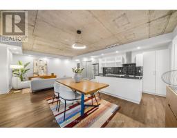 315 - 650 KING STREET W, Toronto, Ontario