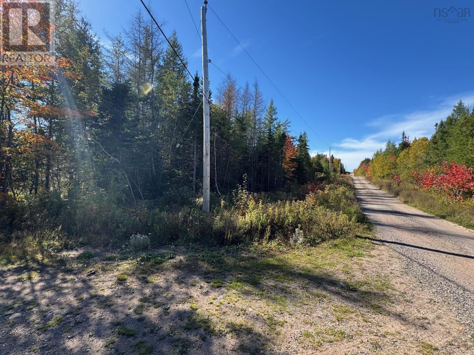 Helmuts Lane, Cleveland, Nova Scotia  B0E 1J0 - Photo 19 - 202526090