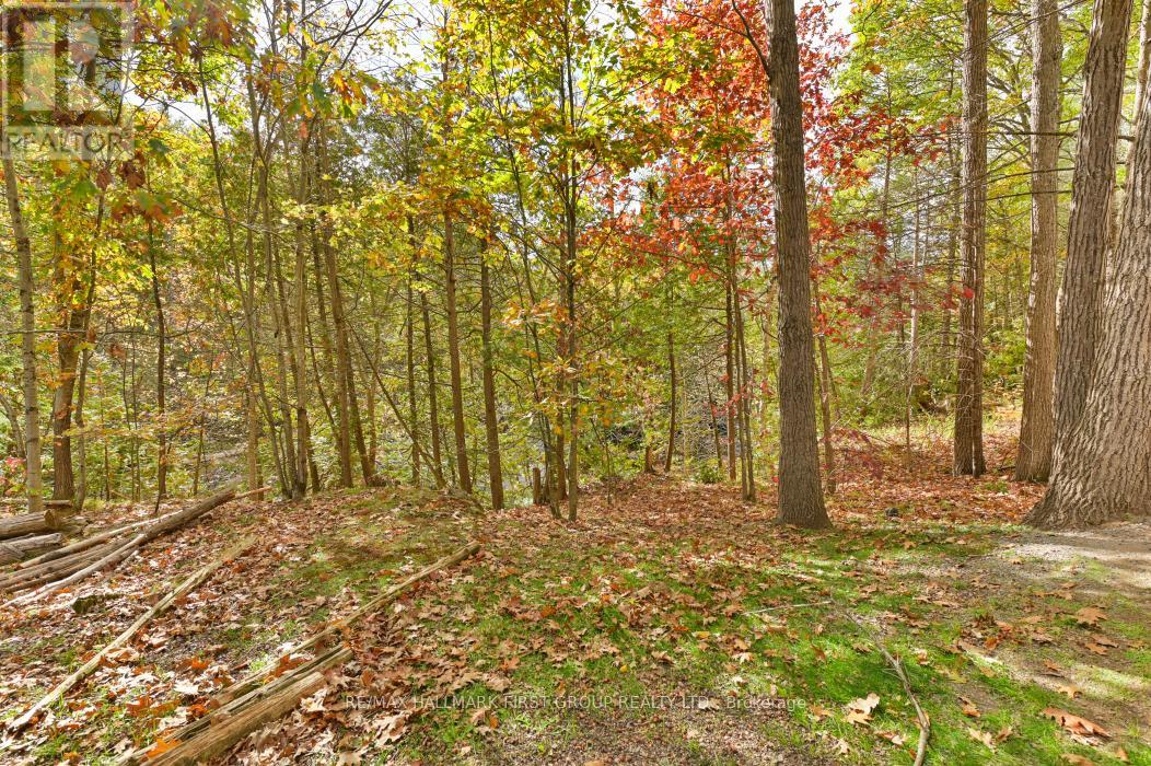 74 Cottage Lane, Tweed (Elzevir (Twp)), Ontario  K0K 3J0 - Photo 41 - X12468553
