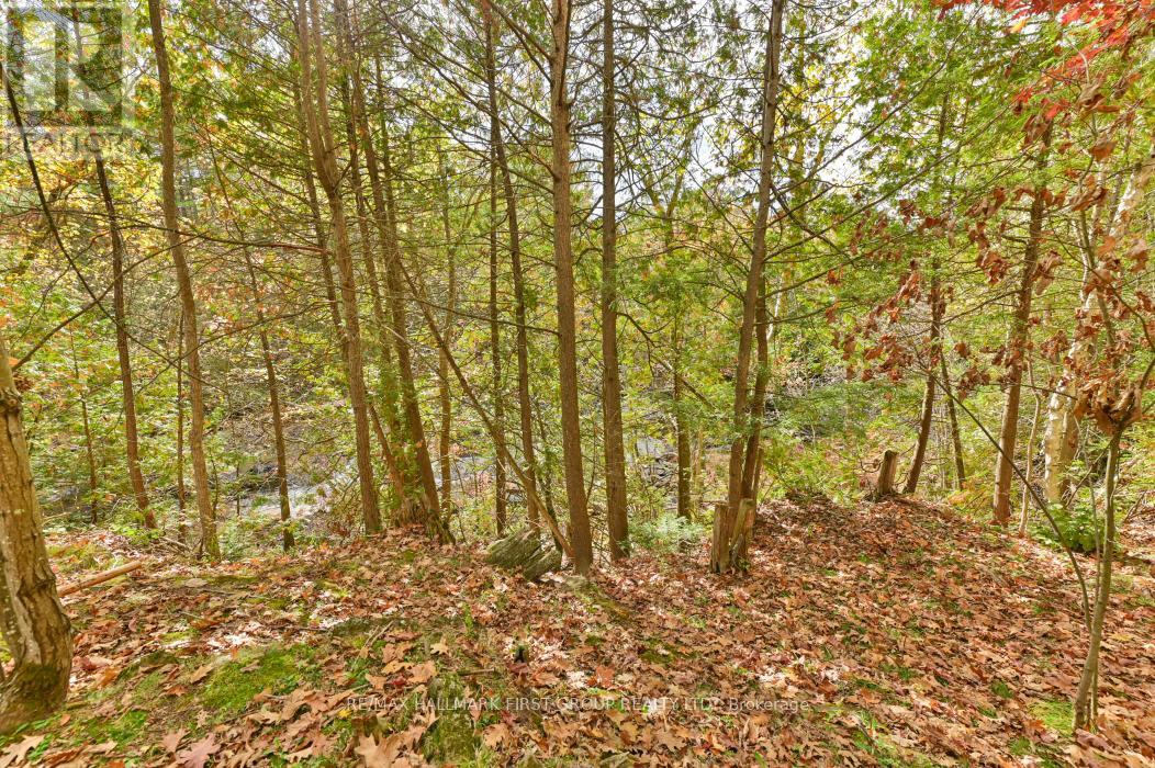 74 Cottage Lane, Tweed (Elzevir (Twp)), Ontario  K0K 3J0 - Photo 43 - X12468553