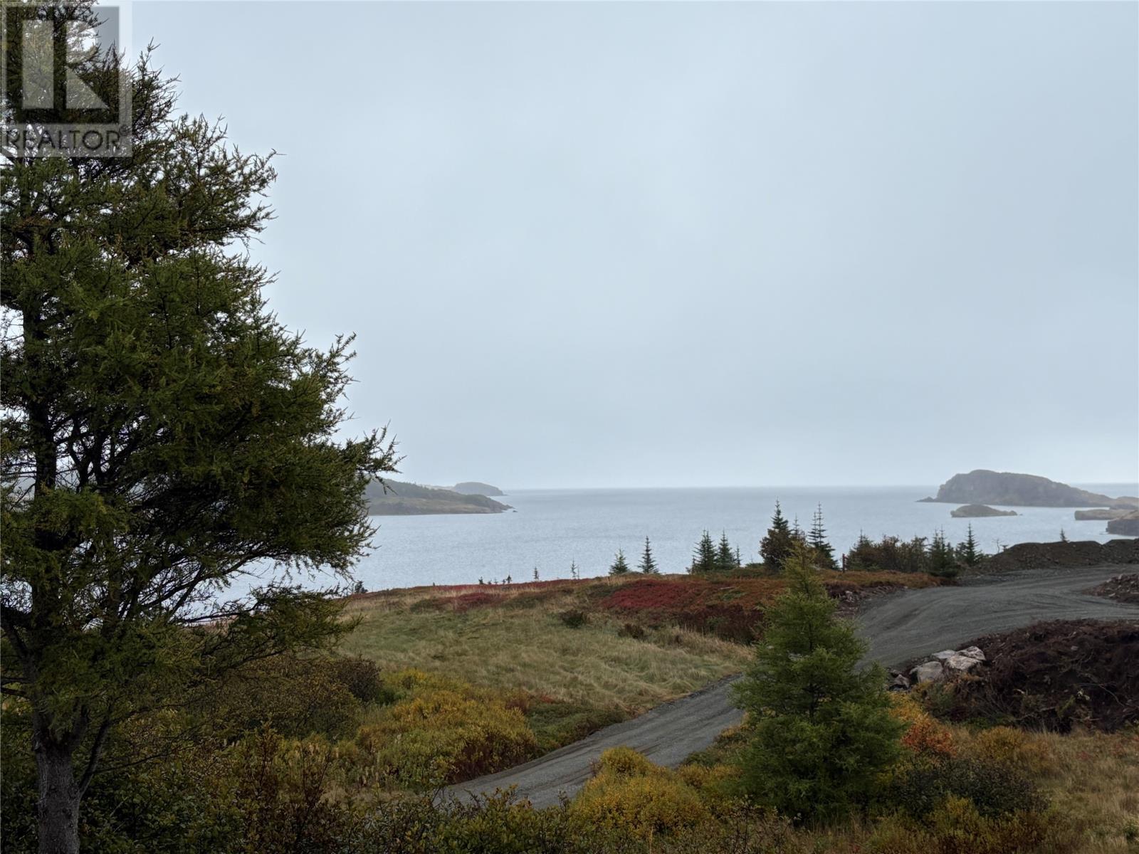 11 Miller Road, Champneys East, Newfoundland & Labrador  A0C 2H0 - Photo 43 - 1289369
