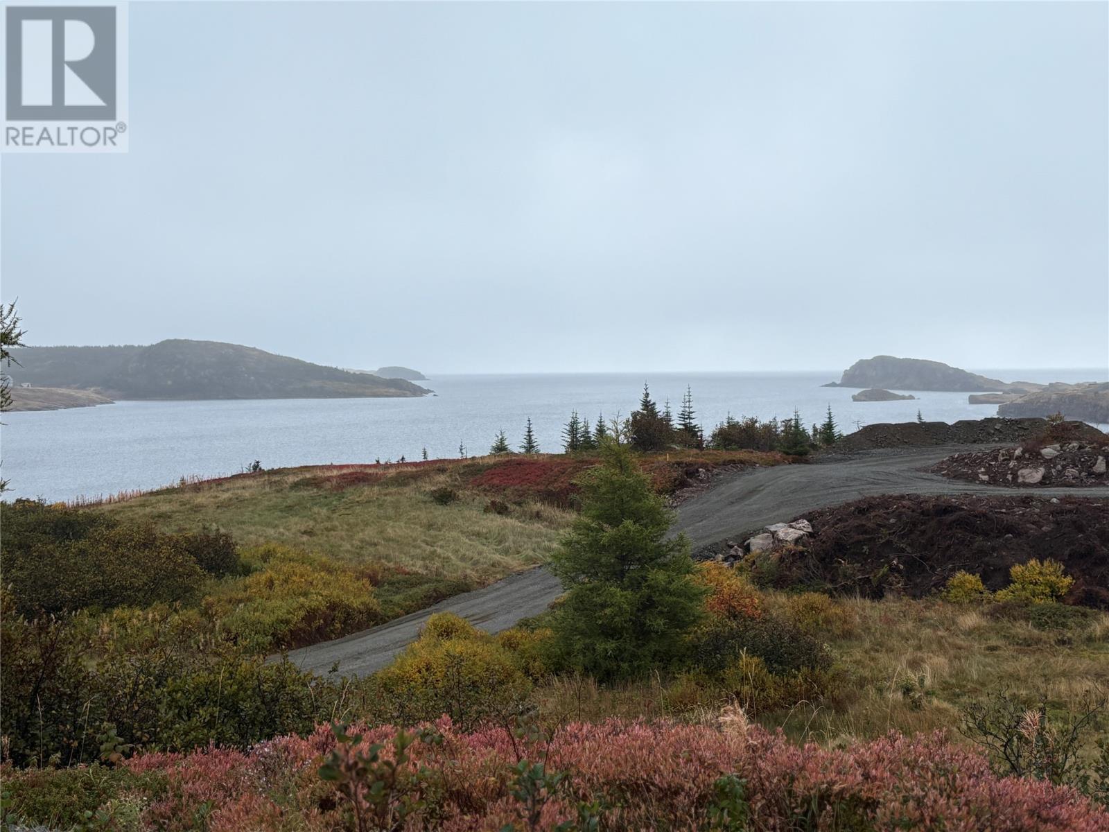 11 Miller Road, Champneys East, Newfoundland & Labrador  A0C 2H0 - Photo 46 - 1289369