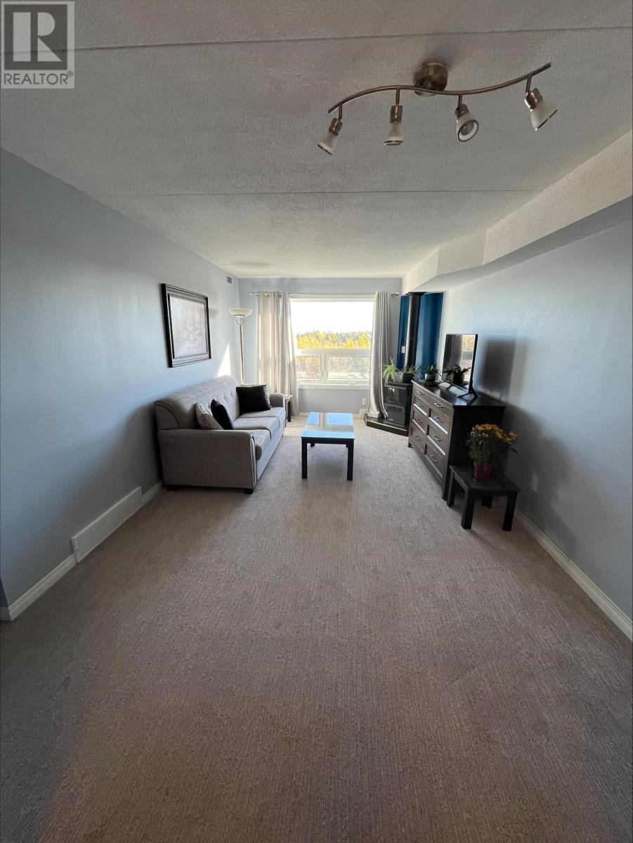 602 145 Fanshaw St, Thunder Bay, Ontario  P7C 5Y4 - Photo 4 - TB253246