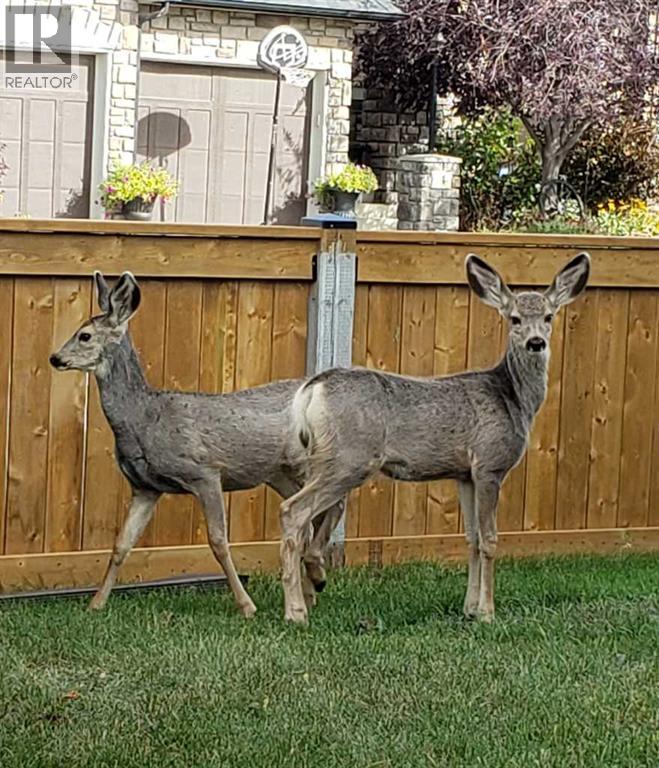 200 Cimarron Drive, Okotoks, Alberta  T1S 0A7 - Photo 30 - A2247209