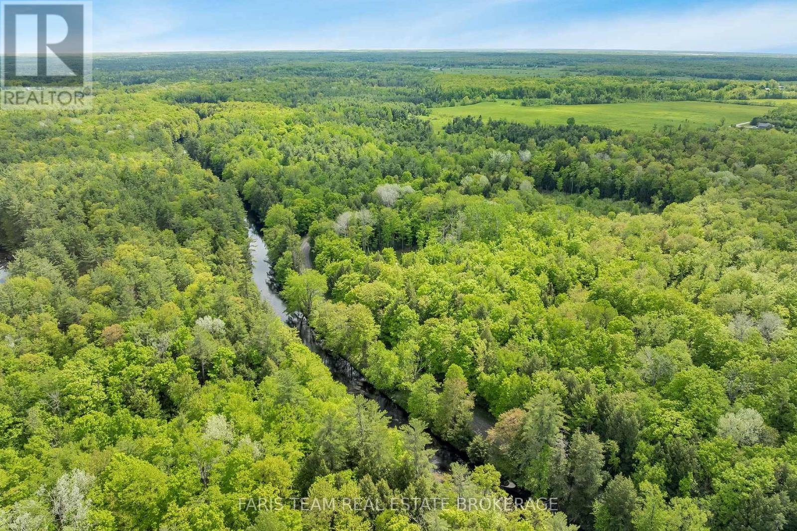 7950 Kings River Road, Ramara, Ontario  L0K 2B0 - Photo 3 - S12468577