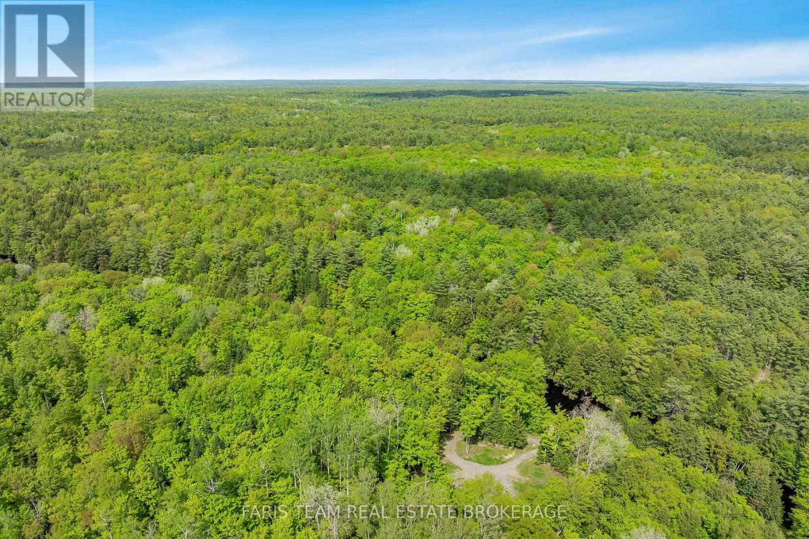7950 Kings River Road, Ramara, Ontario  L0K 2B0 - Photo 7 - S12468577