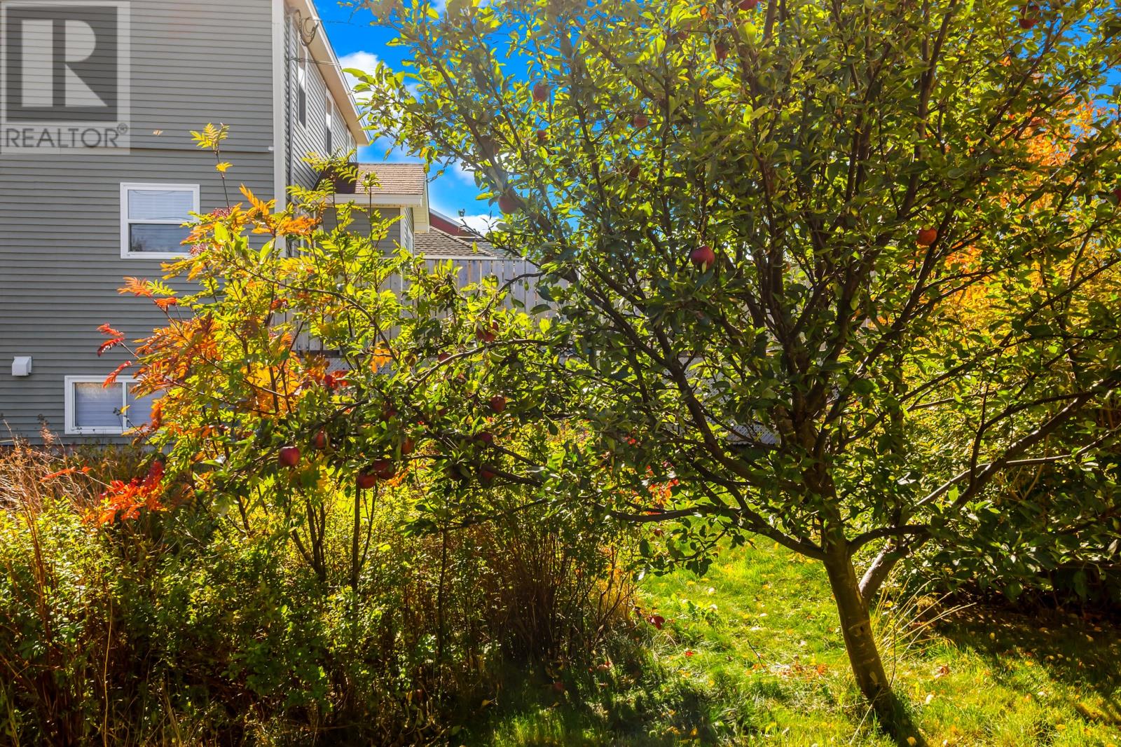 45 Wisemans Lane, Conception Bay South, Newfoundland & Labrador  A1X 6Z4 - Photo 16 - 1291662