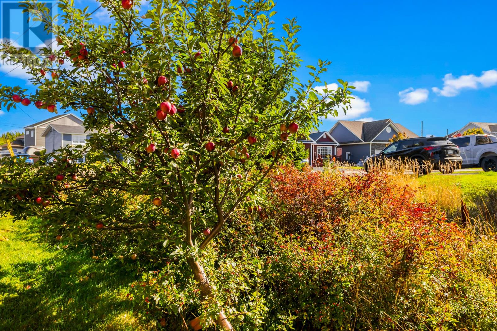 45 Wisemans Lane, Conception Bay South, Newfoundland & Labrador  A1X 6Z4 - Photo 17 - 1291662