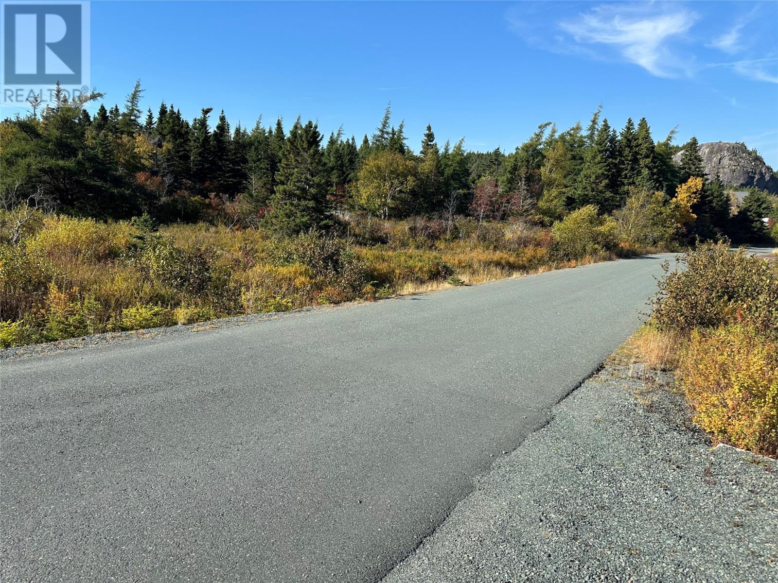 111 Silver Springs Road, Conception Habour, Newfoundland & Labrador  A0A 1Z0 - Photo 23 - 1291647
