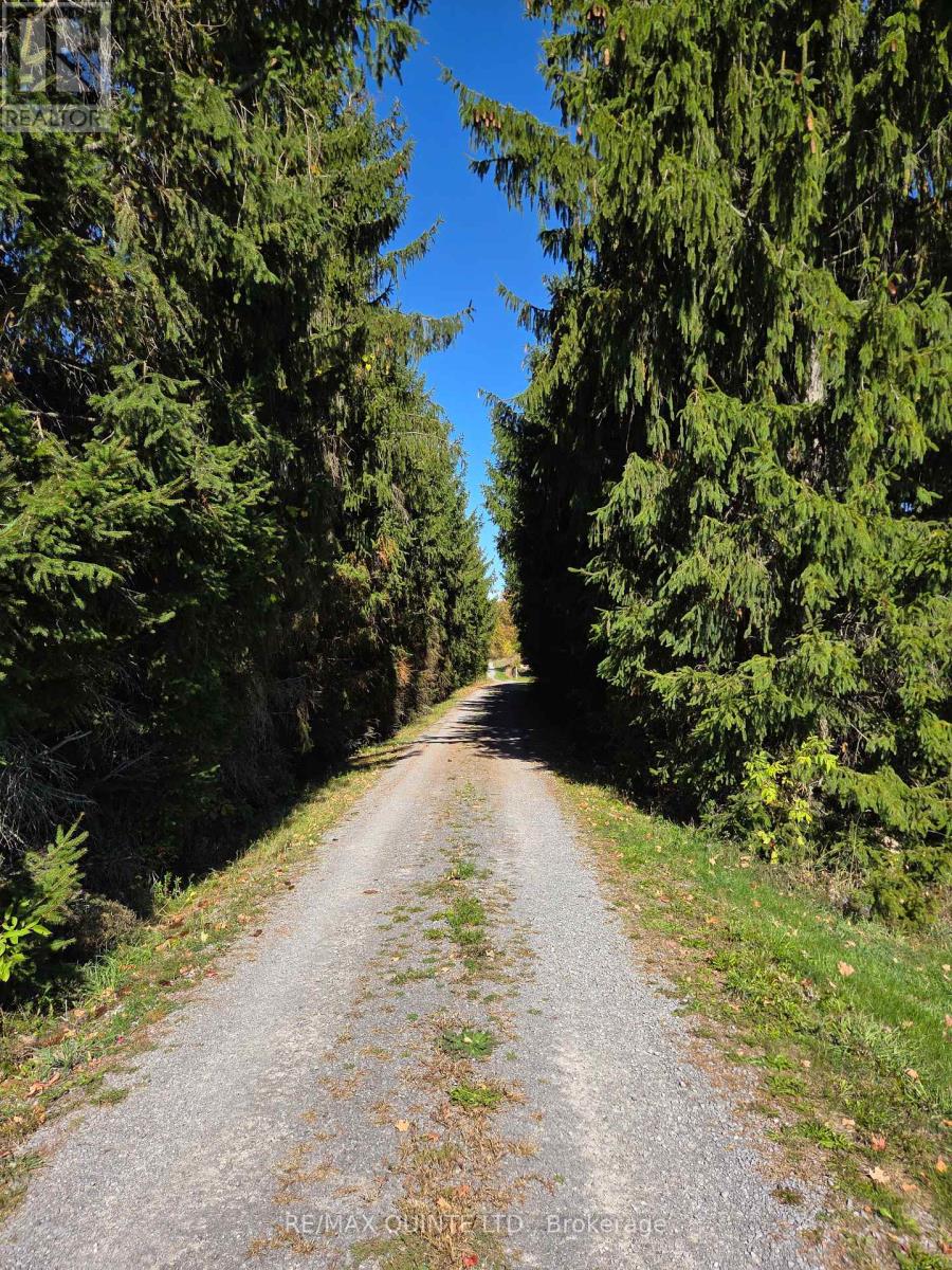 551 Marlbank Road, Tweed, Ontario K0K 3J0 - Photo 31 - X12450063