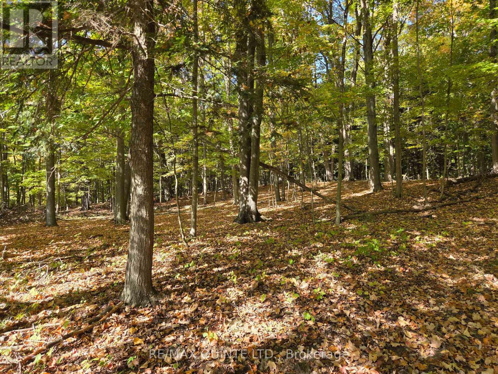 551 Marlbank Road, Tweed, Ontario K0K 3J0 - Photo 40 - X12450063