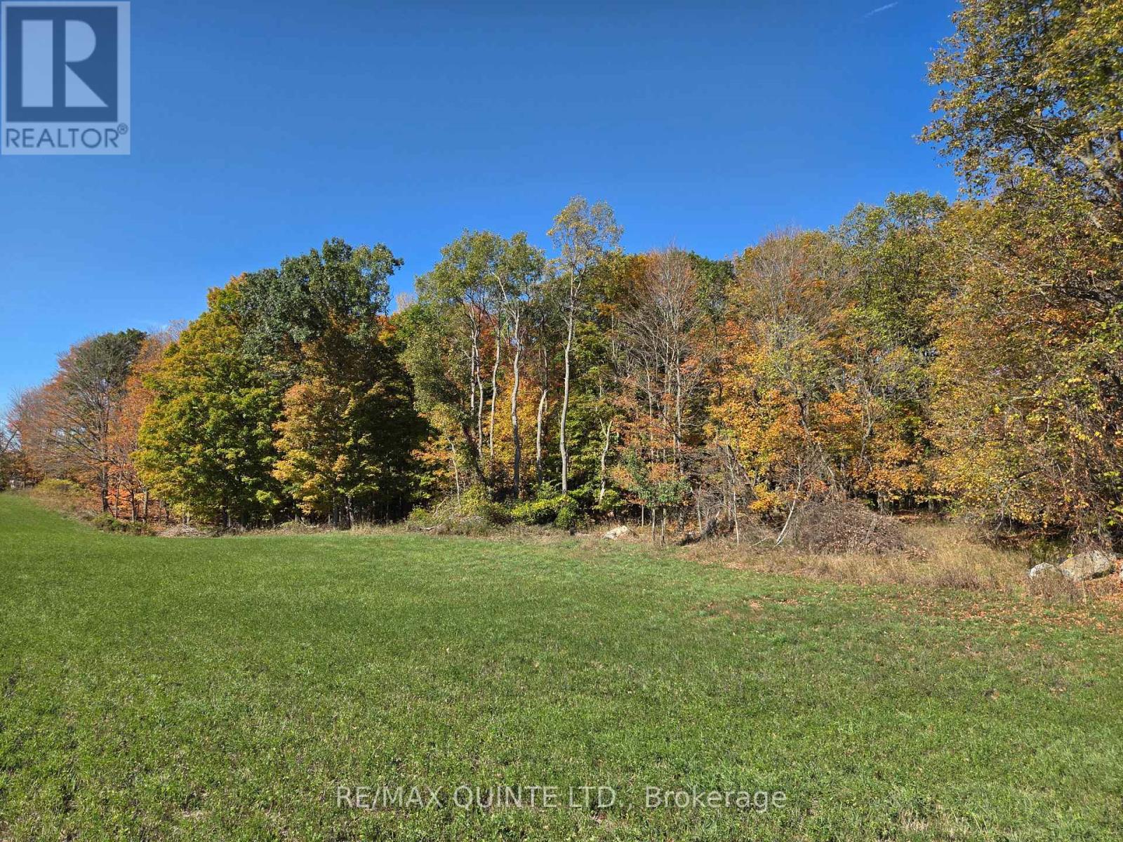 551 Marlbank Road, Tweed, Ontario K0K 3J0 - Photo 45 - X12450063