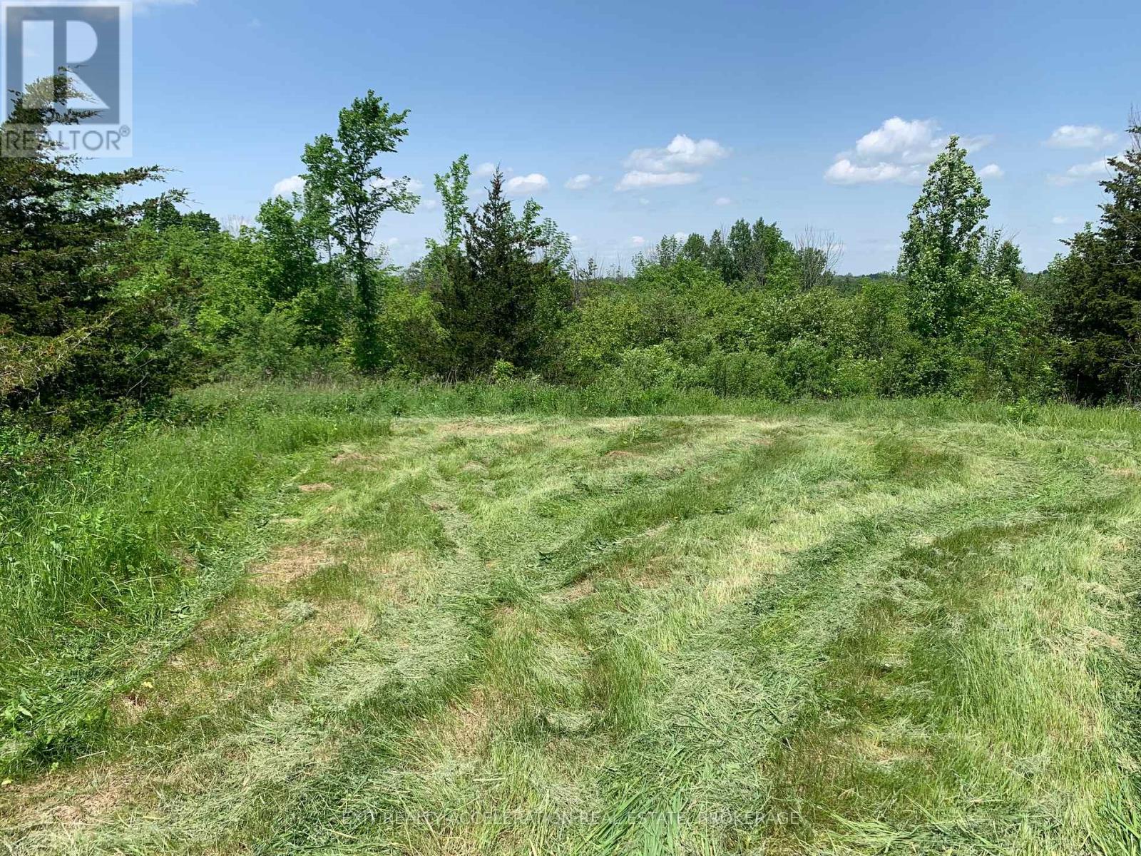 00 Buttermilk Falls Road, Greater Napanee, Ontario  K0K 2W0 - Photo 10 - X12468727