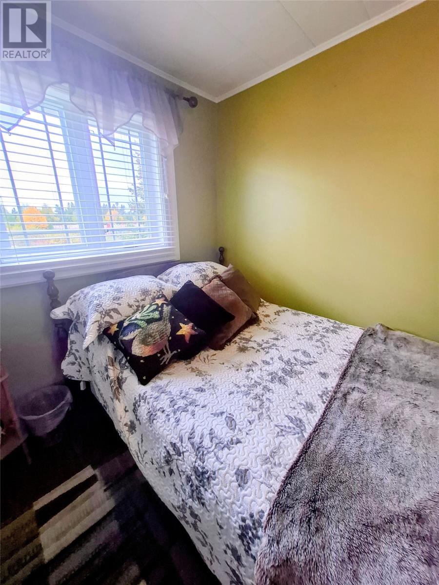 7 Cloud Drive, Roddickton, Newfoundland & Labrador  A0K 4P0 - Photo 11 - 1291669