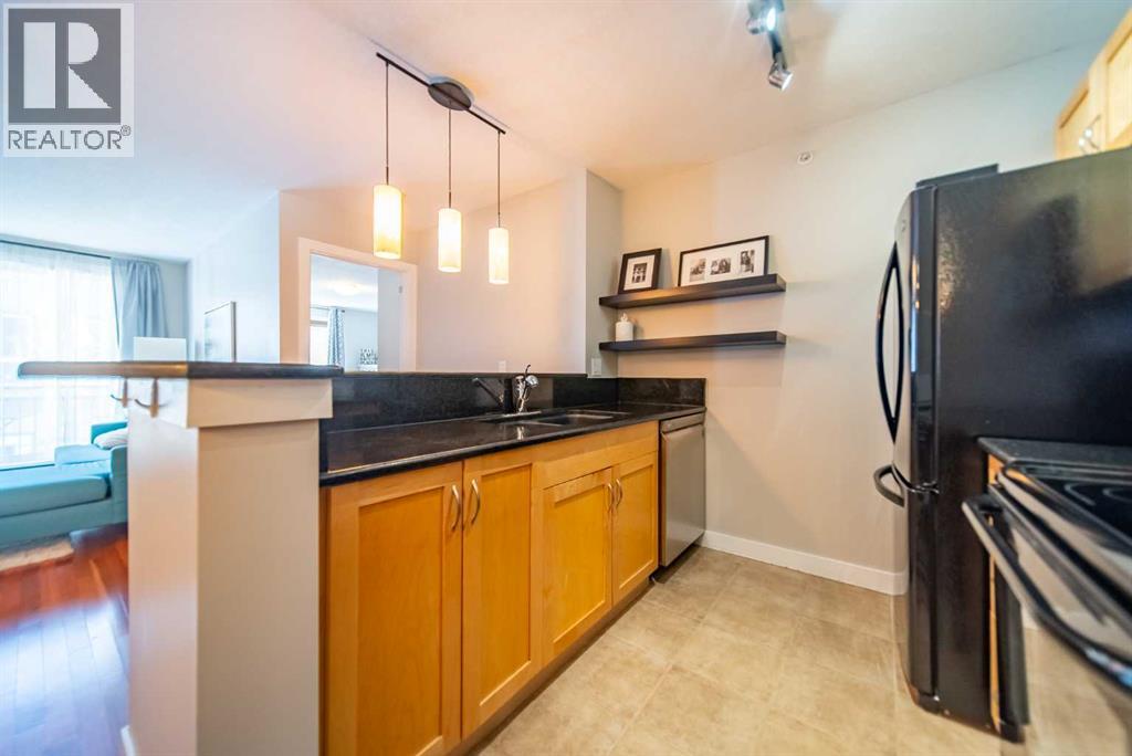 304, 2440 34 Avenue Sw, Calgary, Alberta  T2T 2C8 - Photo 11 - A2264985
