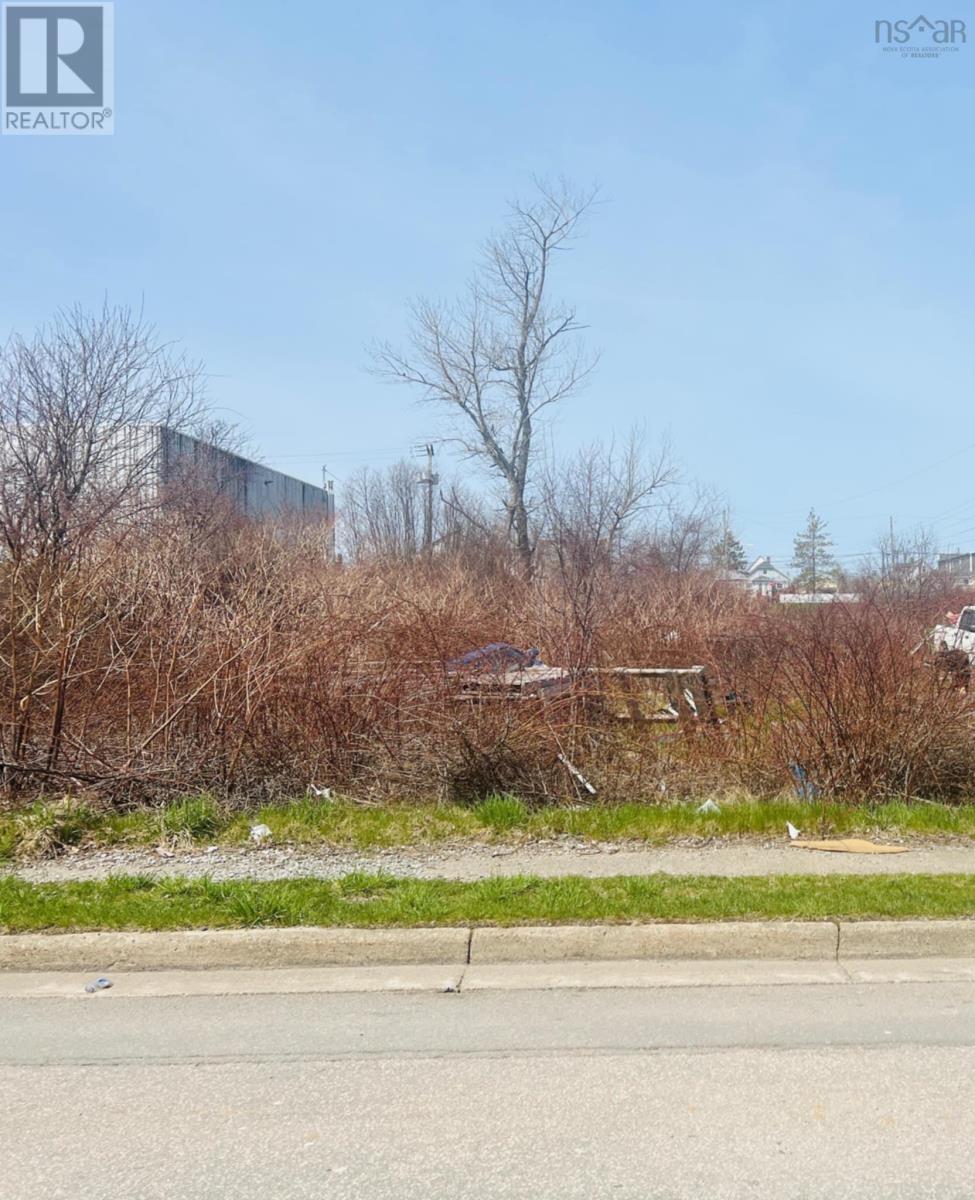 19 Hankard Street, Cape Breton, Nova Scotia  B1N 2C1 - Photo 3 - 202526113